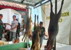 Dari Halaman Koramil, Aroma Kepedulian Menyatu dengan Semangat Idul Adha di Cineam