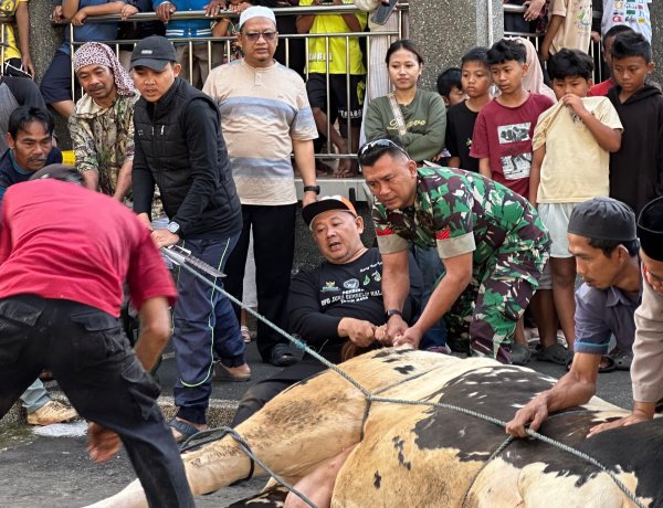 Babinsa Kawal Distribusi Daging Kurban Jumbo 1,2 Ton di Masjid Agung Kota Tasikmalaya, Ribuan Warga Tersenyum Bahagia