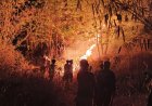 Anggota Polsek Majalengka Bersama Unsur Terkqit Berjibaku Padamkan Kebakaran Lahan dan Hutan di Gunung Margatapa